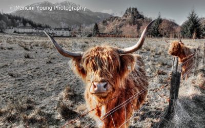 Health and Safety Advice in the Agricultural Industry