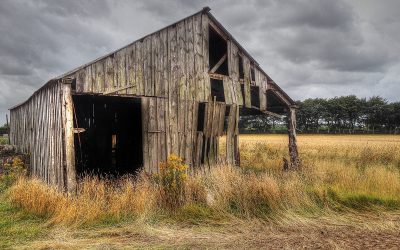 Health and Safety Advice in the Agricultural Industry