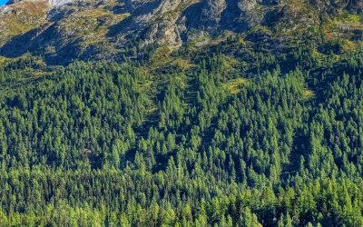 ENVIRONMENTAL AWARENESS E-LEARNING