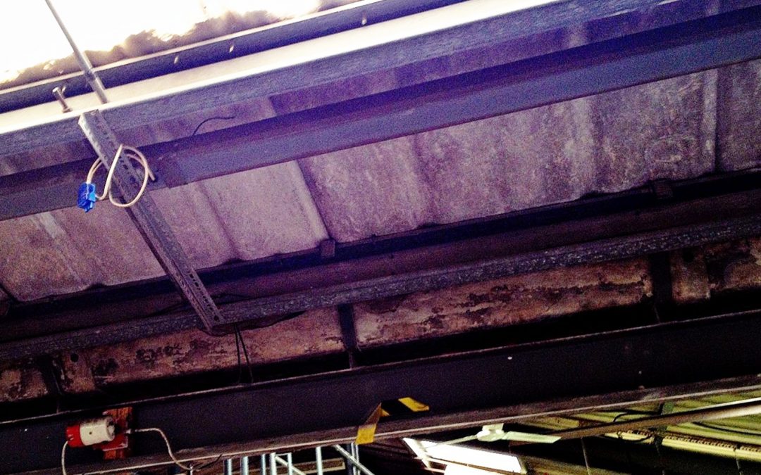Asbestos Services